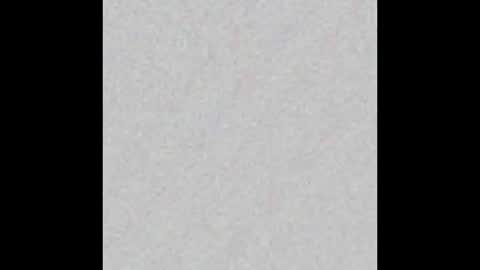 Venus online show from 02/17/25, 11:23