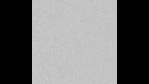 Venus online show from 09/15/25, 01:33