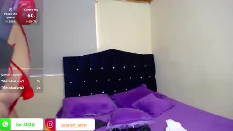 scarlet_tommy online show from 02/01/26, 05:00