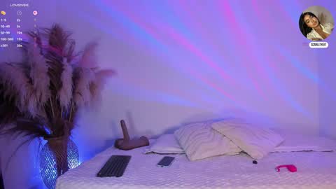 scarlet  online show from 02/10/26, 11:03