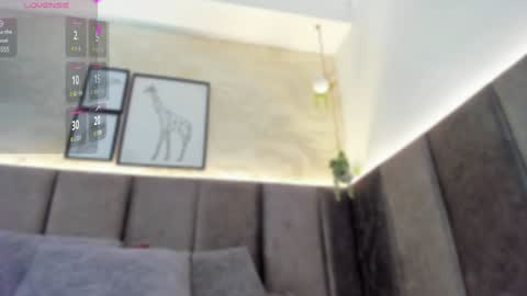 Scarlett online show from 01/24/25, 08:23