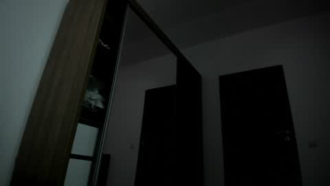 Snapshot of scarlettjakobs chatting on 06/29/26, 06:41 scarlettjakobs online show from 06/29/26, 06:41