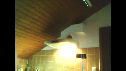 schnibschnab online show from 02/26/26, 02:54