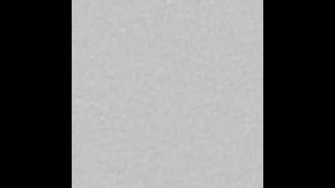 Scolw  online show from 12/19/25, 12:01