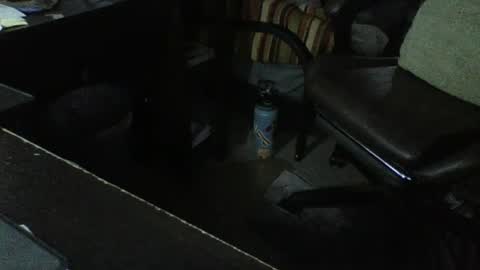 Scorp online show from 07/21/26, 07:49