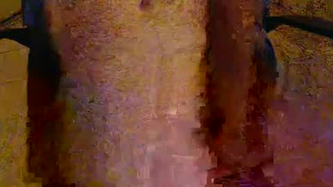 scott1usa online show from 05/05/26, 05:48