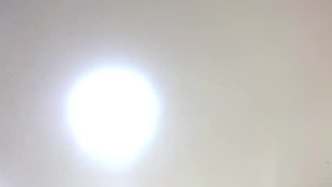 Damar online show from 01/16/26, 05:50