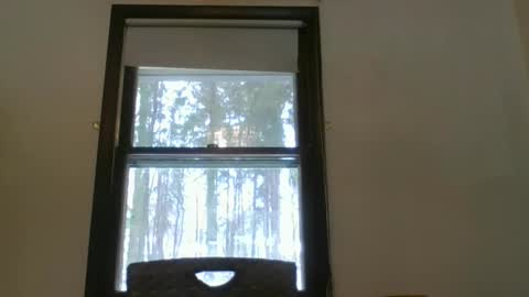 scottpbi52 online show from 02/15/25, 05:28