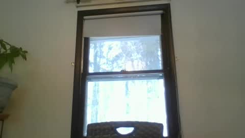 scottpbi52 online show from 02/20/25, 01:30