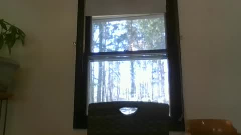 scottpbi52 online show from 03/10/25, 07:07