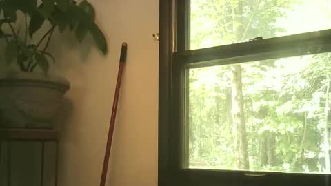 scottpbi52 online show from 09/27/25, 03:39