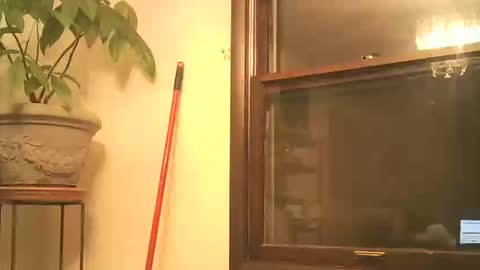 scottpbi52 online show from 09/28/25, 03:45