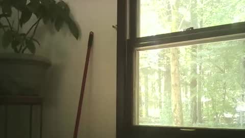 scottpbi52 online show from 09/28/25, 05:29