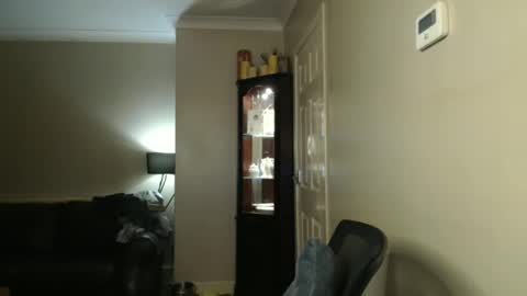 Snapshot of scottsman214 chatting on 01/19/25, 12:49 James online show from 01/19/25, 12:49