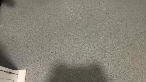 scottyc48 online show from 12/17/25, 11:05