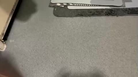 scottyc48 online show from 12/19/25, 07:48