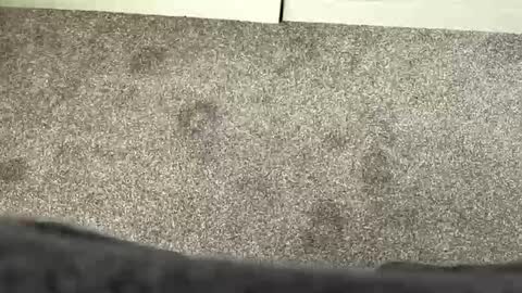 scottyc48 online show from 03/21/26, 11:59