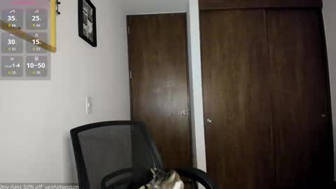 Aria Independent model online show from 12/19/25, 12:39