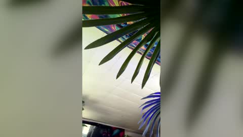 Snapshot of seanplushouse chatting on 02/28/26, 07:48 seanplushouse online show from 02/28/26, 07:48