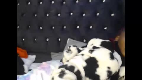 sebatrishaa online show from 10/23/25, 10:52