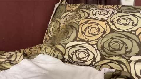 Hennriette    and Sebastian     online show from 12/29/24, 06:27