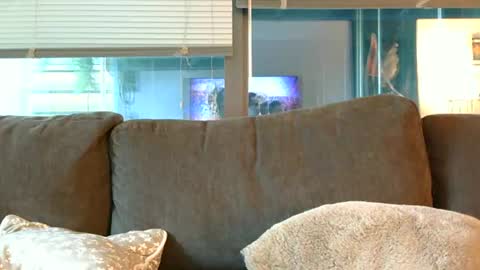 Sebastian Royce online show from 06/14/26, 12:41