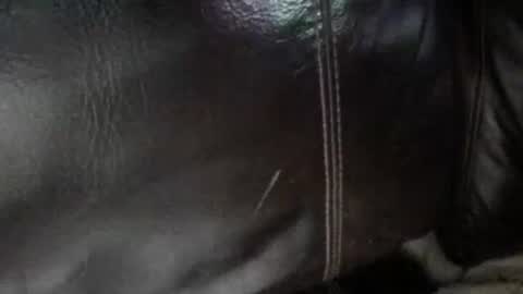 Sunny online show from 01/13/26, 06:40