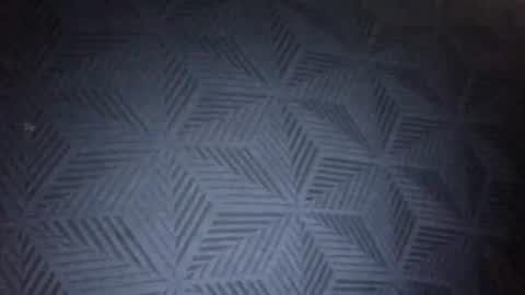 Sunny online show from 01/31/26, 08:51