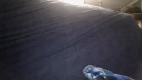 Sunny online show from 02/24/26, 03:37