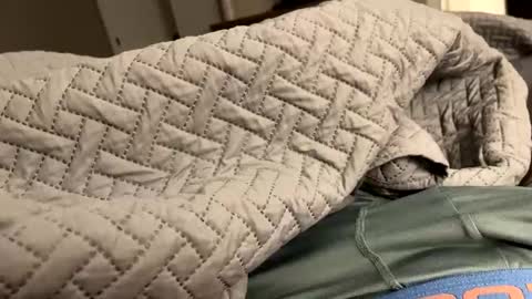 Snapshot of secretlyseductive9399 chatting on 12/08/24, 01:14 secretlyseductive9399 online show from 12/08/24, 01:14