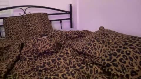 Aria online show from 04/22/26, 06:16