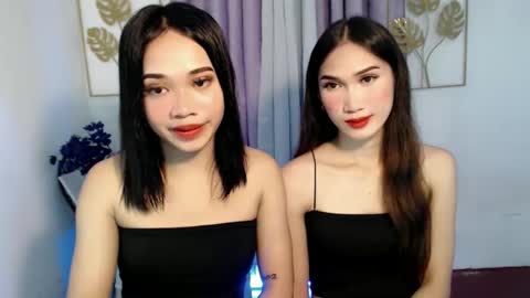 your miss universe kim online show from 11/25/25, 07:08