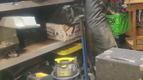 Seeker online show from 01/01/25, 09:17