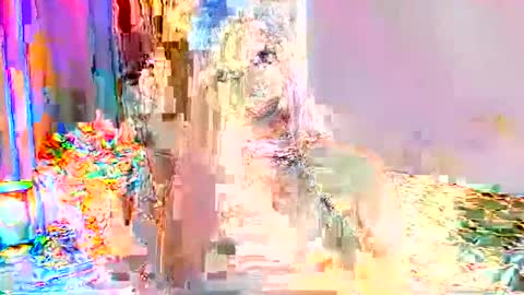 Selena online show from 09/24/25, 01:31