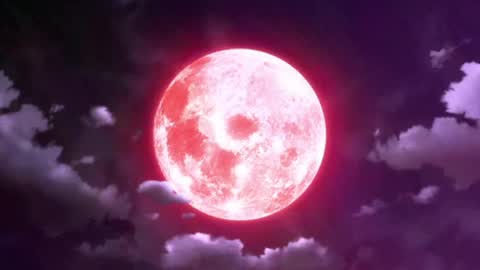 Selene G  online show from 05/13/26, 03:15