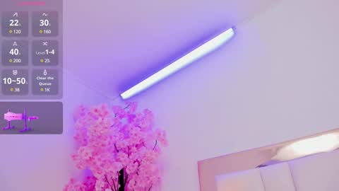 Sennia online show from 02/15/25, 05:28