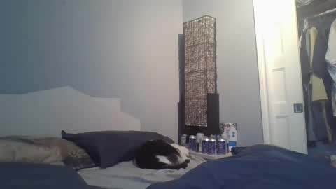 sensualcock4you online show from 12/20/25, 02:24