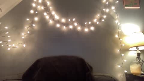 Seroc online show from 03/09/25, 11:46