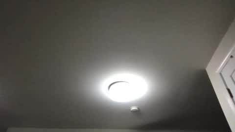 seveninchsteve_ online show from 11/19/25, 09:42