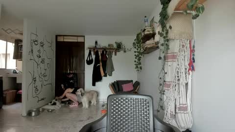         online show from 03/17/26, 02:53