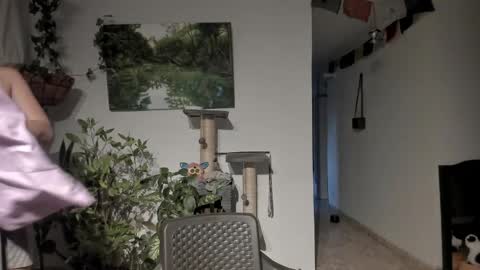         online show from 04/10/26, 11:04