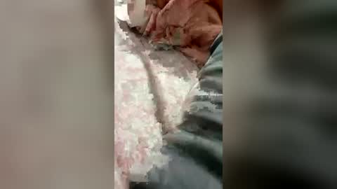 sexseverjetli online show from 06/22/26, 08:06