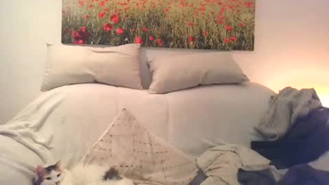 Sexurbation online show from 12/10/24, 03:01