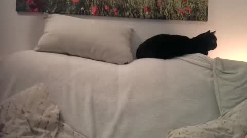 Sexurbation online show from 01/01/25, 10:46