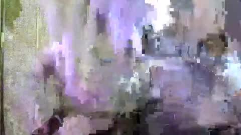 skylar online show from 02/16/25, 08:33