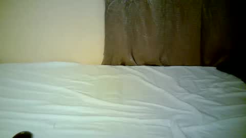 Snapshot of sexxy_shayla chatting on 11/18/25, 07:29 sexxy_shayla online show from 11/18/25, 07:29