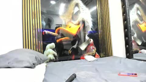 sexy78michell online show from 02/14/26, 02:19