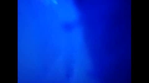 Camy Yamy online show from 02/26/25, 03:32