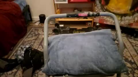 Cayden online show from 01/23/25, 11:58