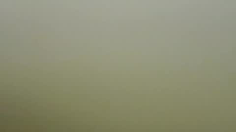 sexy_esther92 online show from 01/19/26, 06:39